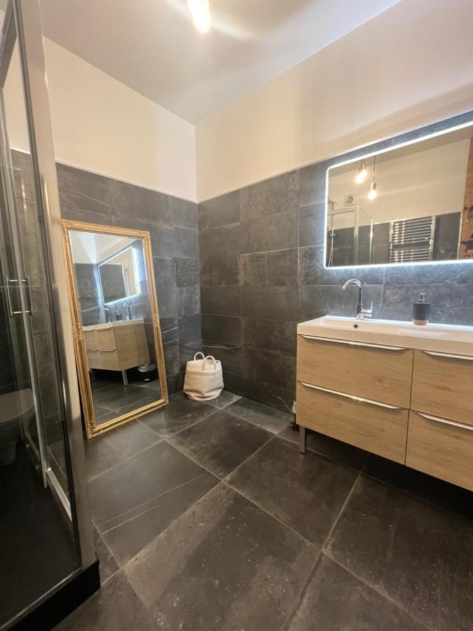 Charmant Appartement Plein Centre Ville - Parking Prive Auxerre Zewnętrze zdjęcie