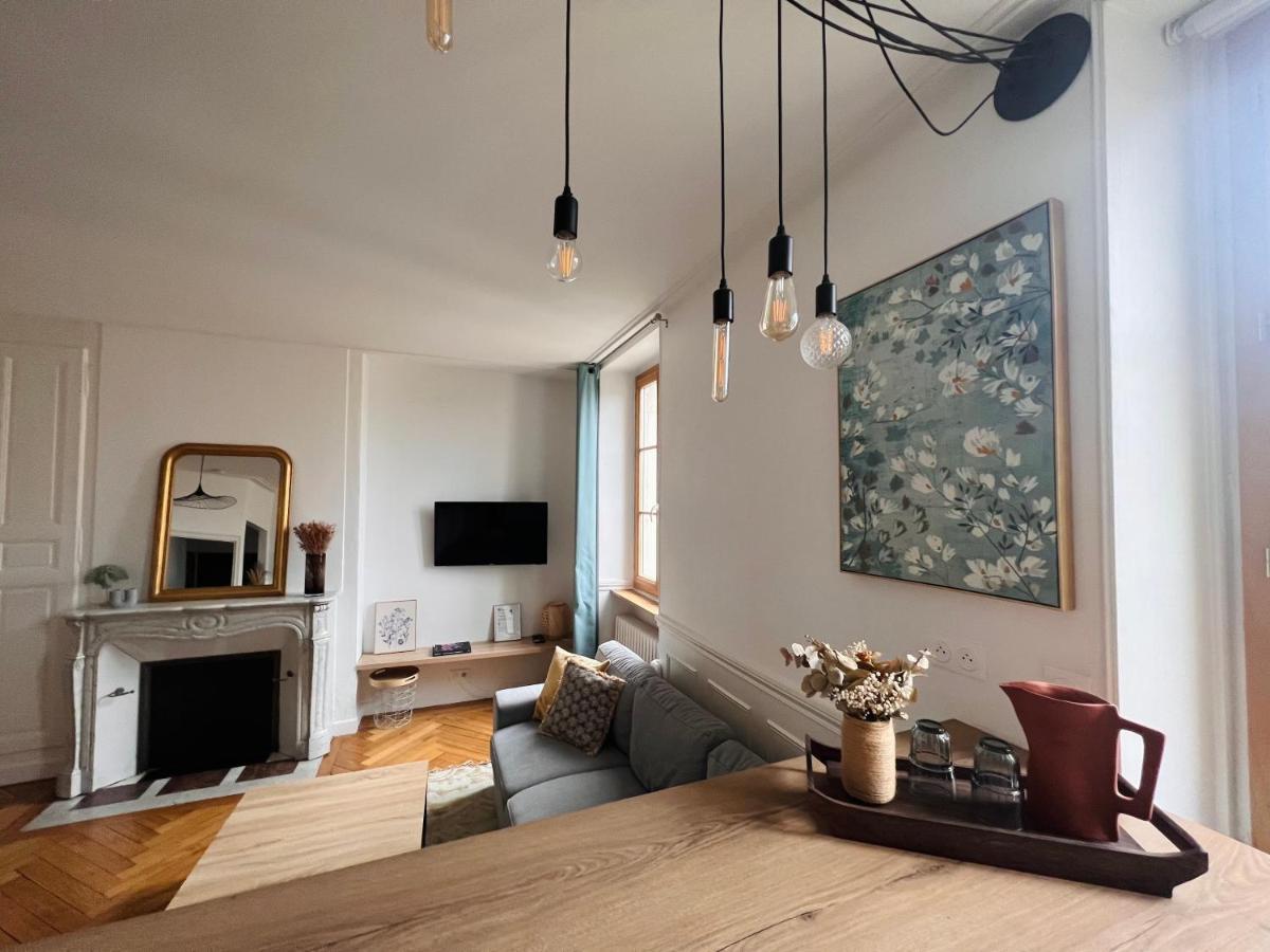 Charmant Appartement Plein Centre Ville - Parking Prive Auxerre Zewnętrze zdjęcie